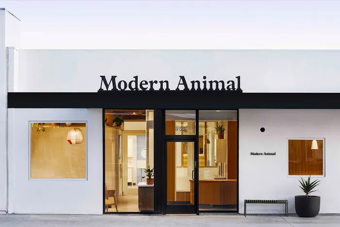Modern Animal 7
