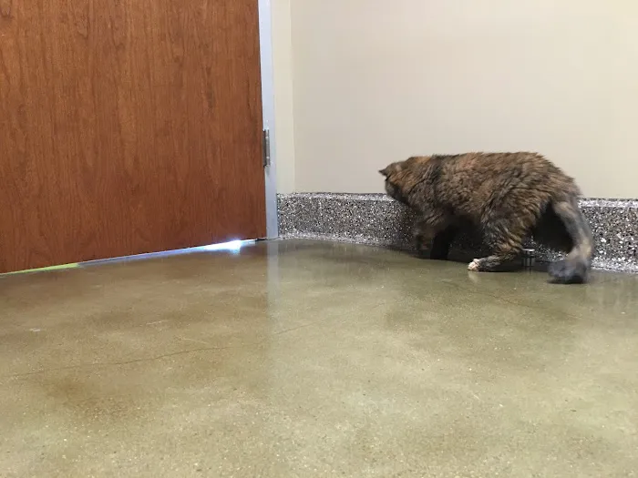 Veterinary Care Center 7