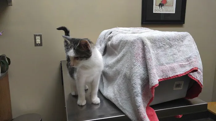 Veterinary Care Center 9