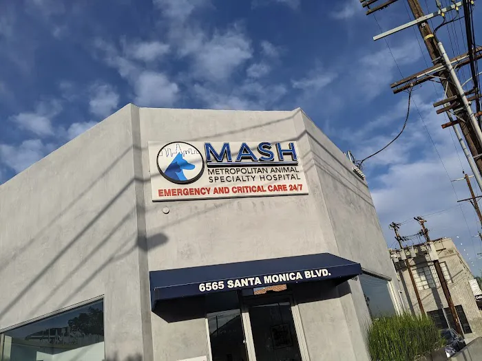 Metropolitan Animal Specialty Hospital (MASH) 3