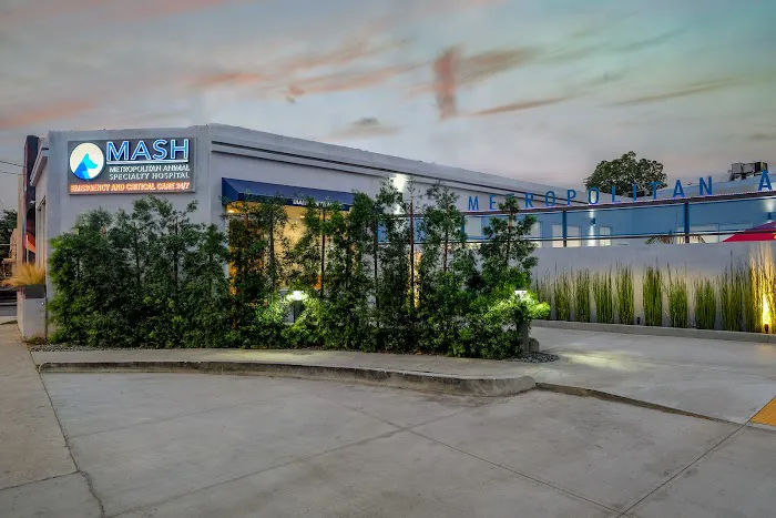 Metropolitan Animal Specialty Hospital (MASH) 2
