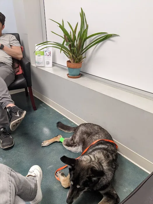 Metropolitan Animal Specialty Hospital (MASH) 5