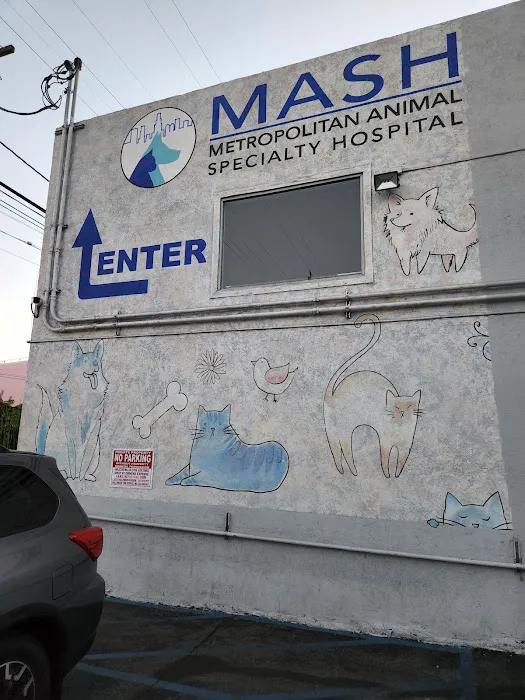 Metropolitan Animal Specialty Hospital Outpatient 7