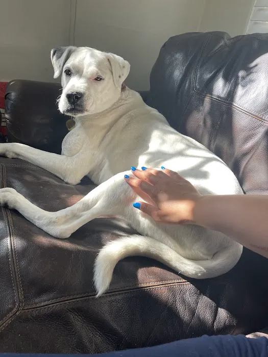 Paw Priority: Veterinary Urgent and Primary Care 6