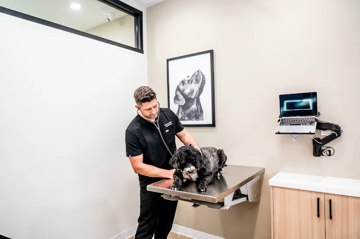 Paw Priority: Veterinary Urgent and Primary Care 3