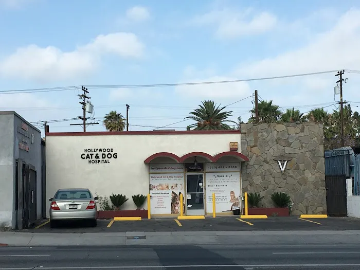 Hollywood Cat And Dog Hospital 4