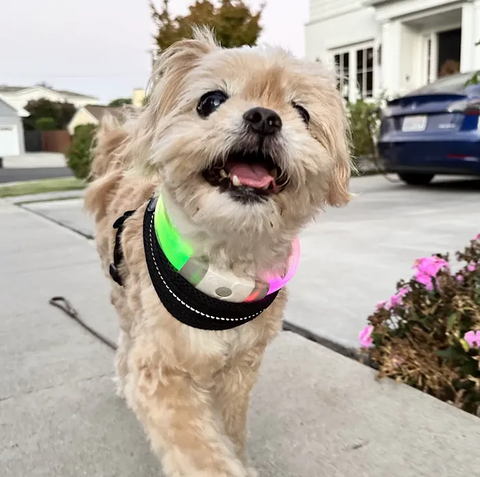 Animal Wellness Centers 8