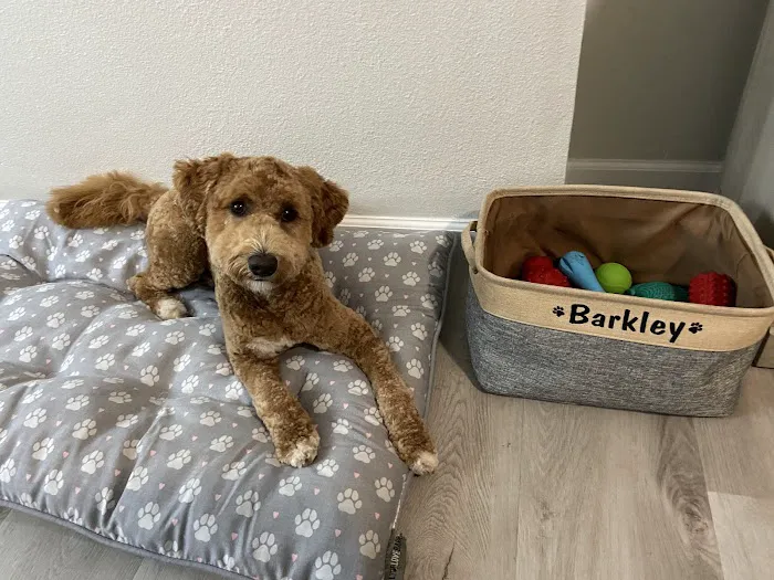 Animal Wellness Centers 1