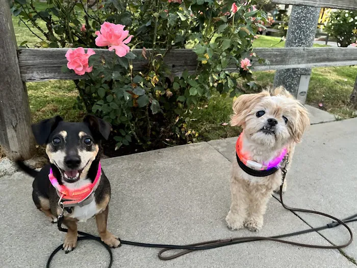 Animal Wellness Centers 6