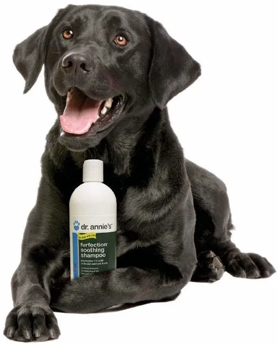 Animal Wellness Centers 7