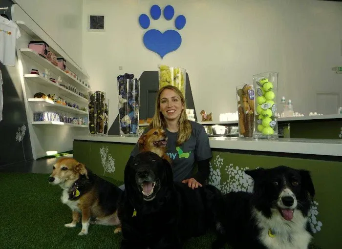 Animal Wellness Centers 4