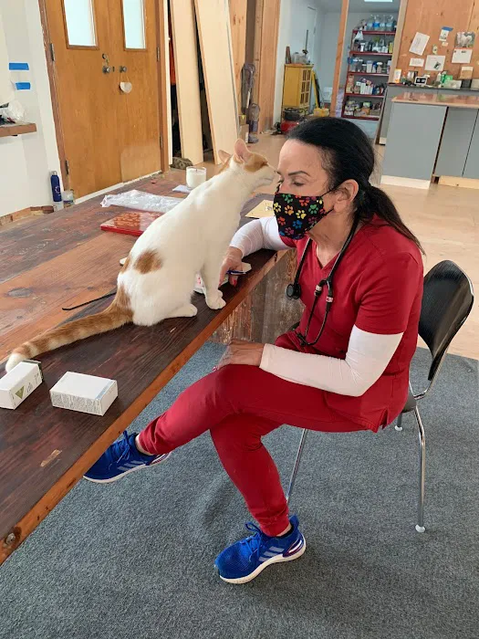 Elite Veterinary Care 6