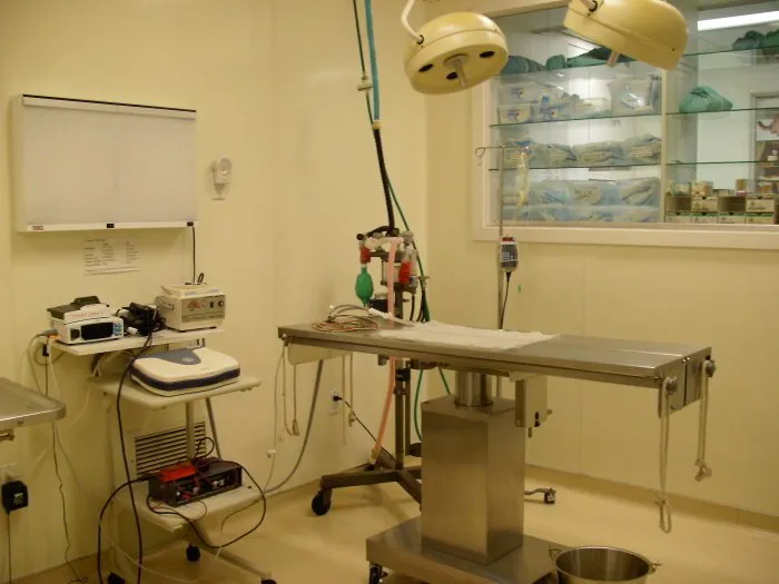 VCA Marina Bay Cities Animal Hospital 5