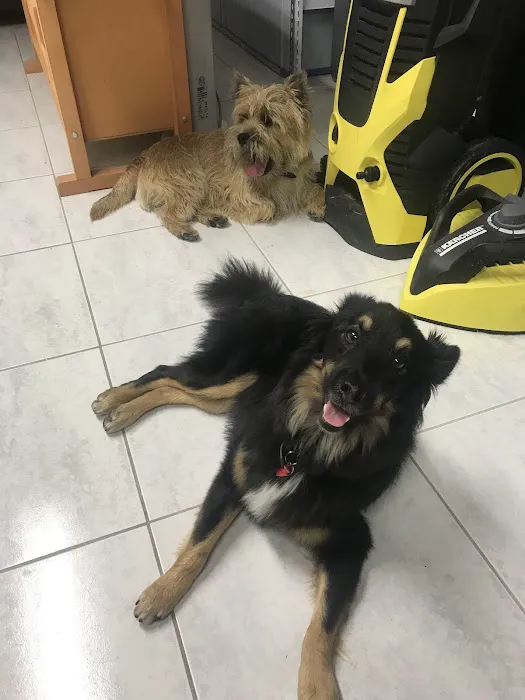 VCA Marina Bay Cities Animal Hospital 6