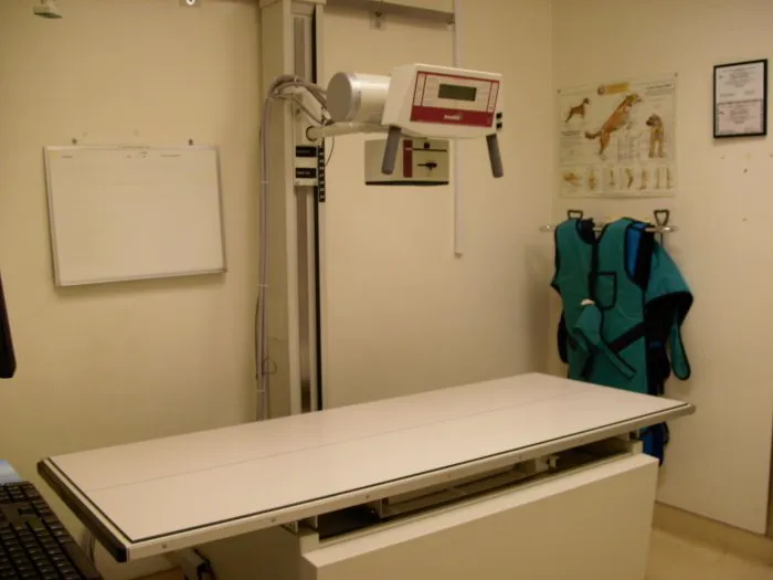 VCA Marina Bay Cities Animal Hospital 7