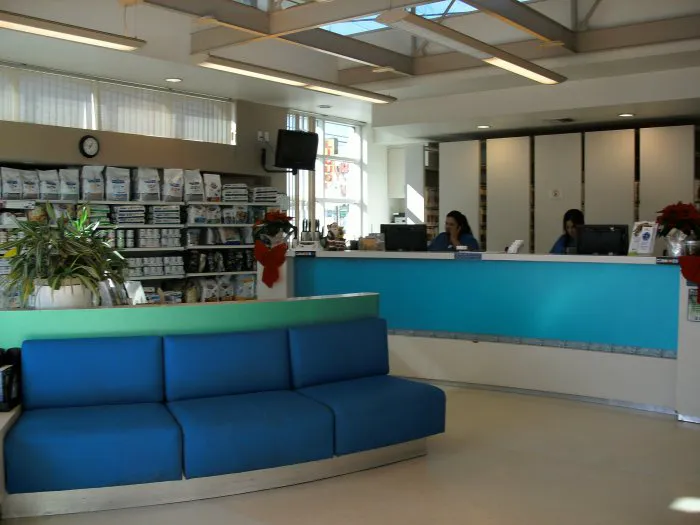 VCA Marina Bay Cities Animal Hospital 2