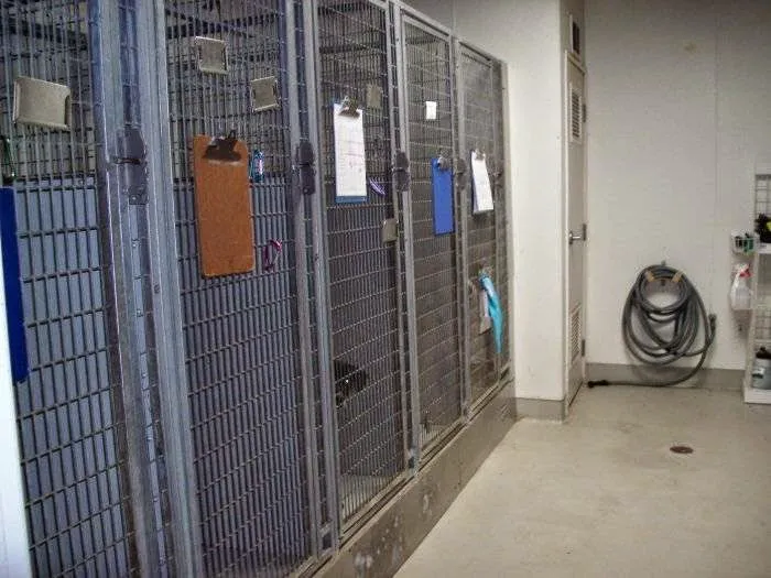 VCA Marina Bay Cities Animal Hospital 1