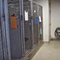 VCA Marina Bay Cities Animal Hospital ico