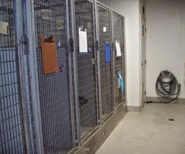 VCA Marina Bay Cities Animal Hospital