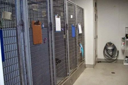 VCA Marina Bay Cities Animal Hospital