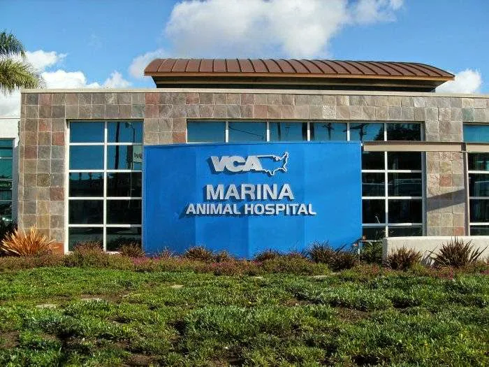 VCA Marina Bay Cities Animal Hospital 10