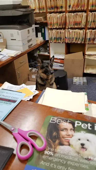 Mar Vista Animal Medical Center 12