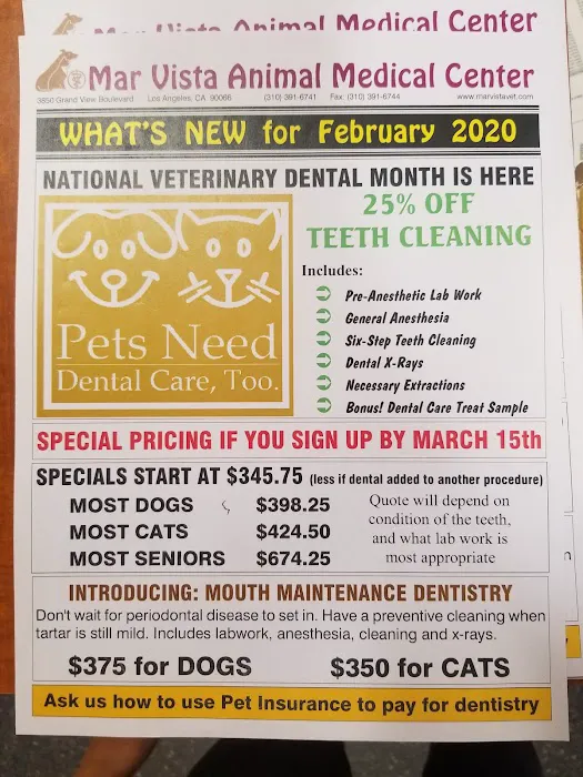 Mar Vista Animal Medical Center 12