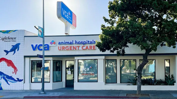 VCA Animal Hospitals Urgent Care - Mar Vista 12