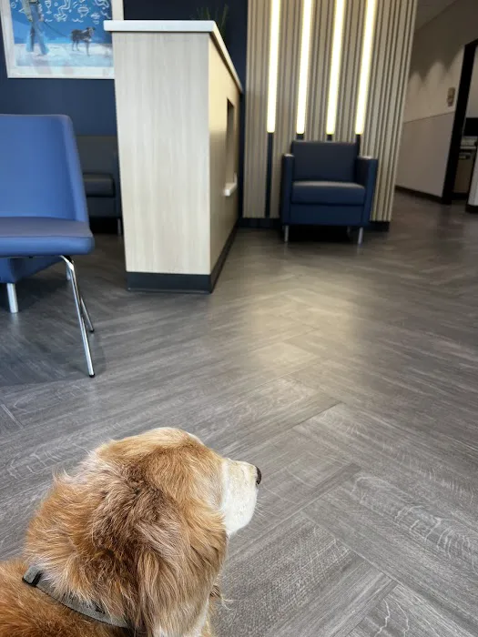 VCA Animal Hospitals Urgent Care - Mar Vista 12