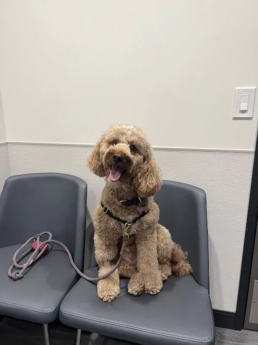 VCA Animal Hospitals Urgent Care - Mar Vista 12