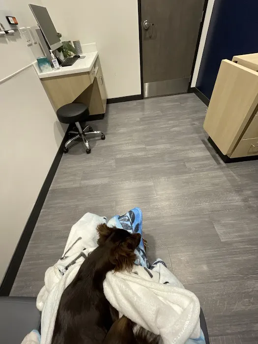 VCA Animal Hospitals Urgent Care - Mar Vista 12