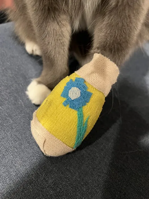 VCA Animal Hospitals Urgent Care - Mar Vista 12
