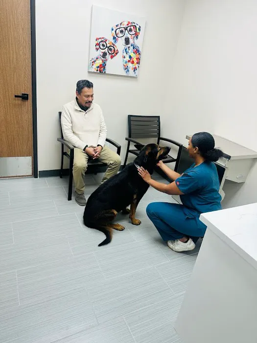 Urgent Care Animal Hospital 10