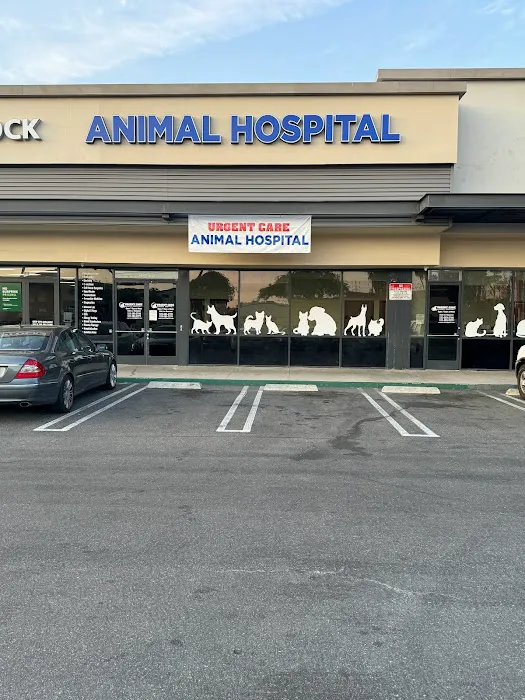 Urgent Care Animal Hospital 2