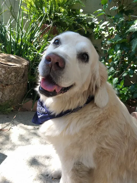 Banfield Pet Hospital 12