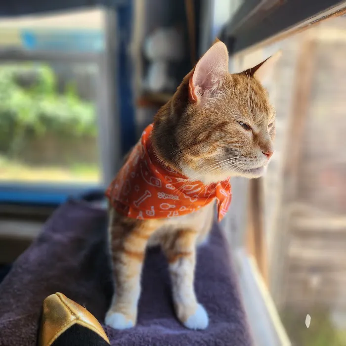 Banfield Pet Hospital 12