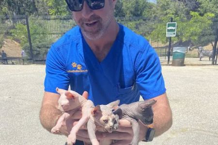 Low Cost Pet Vaccines Eagle Rock Dog Park
