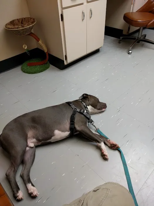 Animal Health Care Center 6