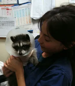 Animal Health Care Center 3