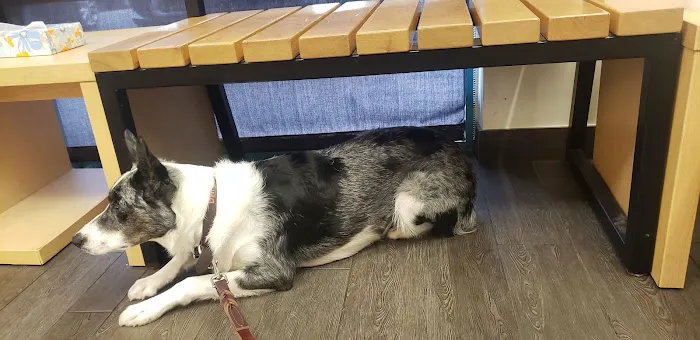 Banfield Pet Hospital 1