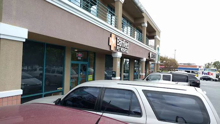 Banfield Pet Hospital 3