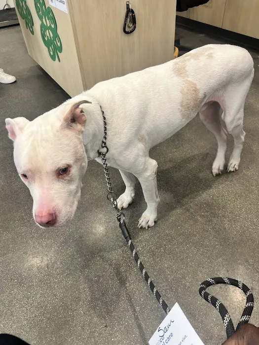 Vetco Total Care Animal Hospital 1