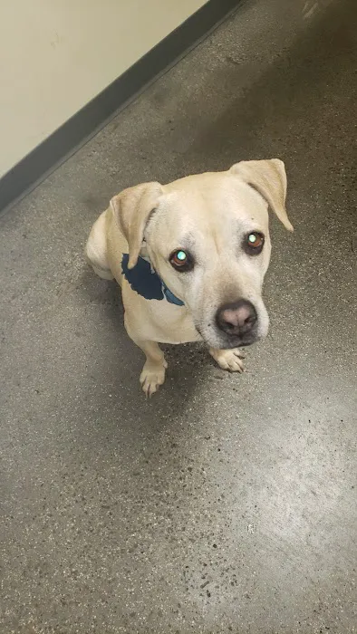 Vetco Total Care Animal Hospital 2