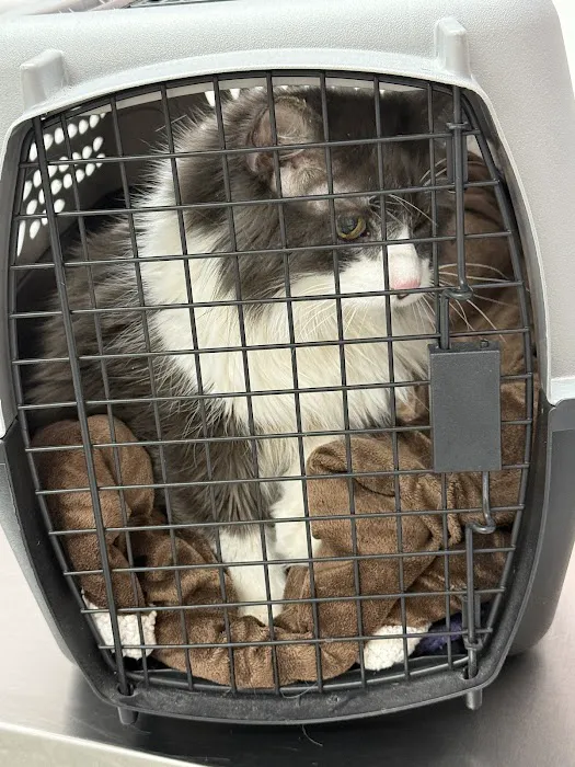 Glendale Small Animal Hospital 12
