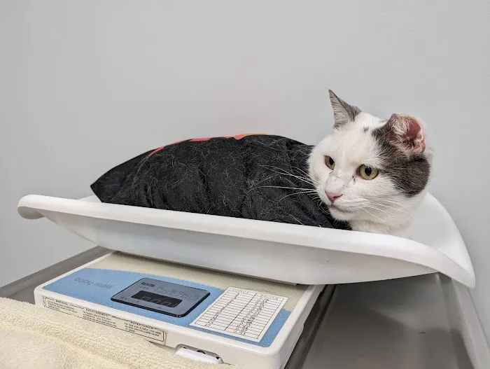 Overland Veterinary Clinic 12