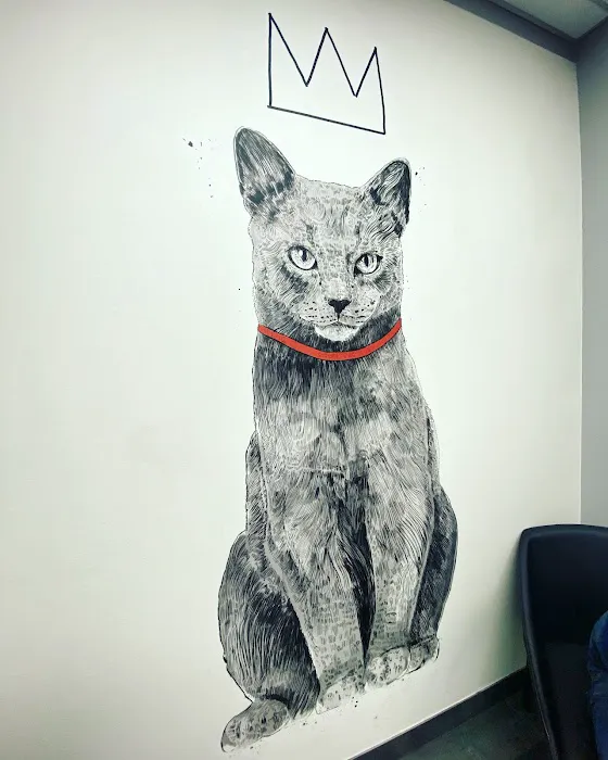 The Melrose Vet 1