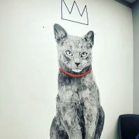 The Melrose Vet ico