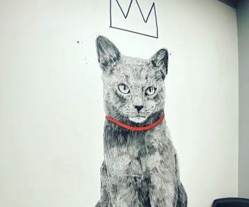 The Melrose Vet