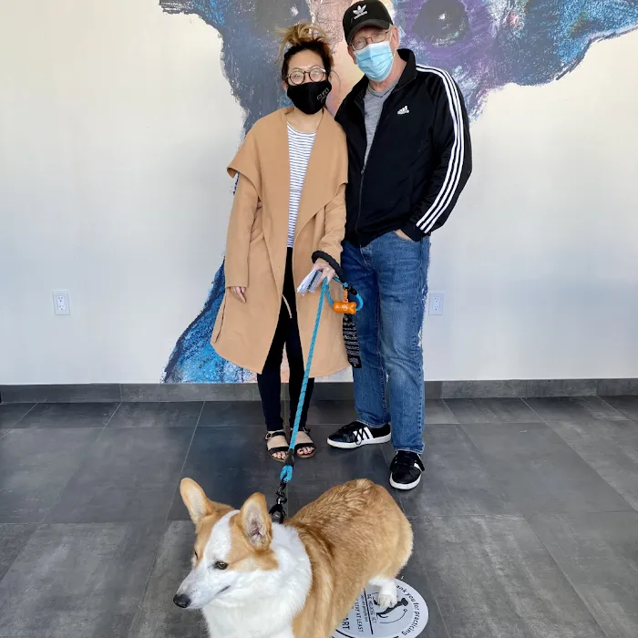 The Melrose Vet 7