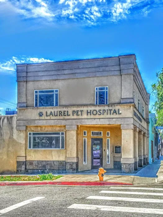 Laurel Pet Hospital: Seoud Moustafa T DVM 1